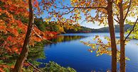 Image result for Kindle Fire HD Fall Wallpaper