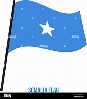 Image result for Somalia National Flag