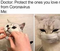 Image result for Cat with Mask Meme