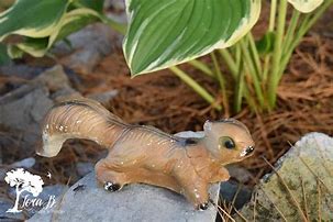 Image result for squirrelling