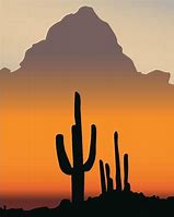 Image result for Cactus in Desert Drawing Sunset