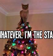 Image result for Cat Xmas Tree Meme