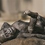 Image result for Male Gorilla