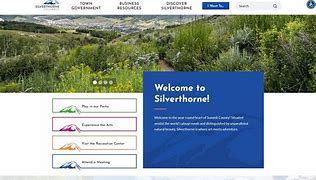 Image result for Local Government Website