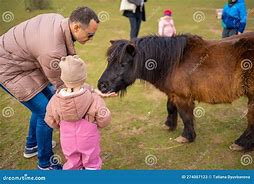 Image result for Zookeeper Feeding Animals