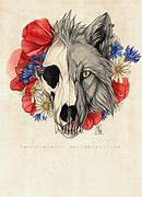 Image result for Cute Skull Wolf