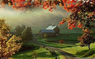 Image result for Late Fall Wallpaper