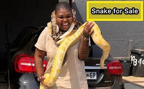 Image result for Sangoma Snakes