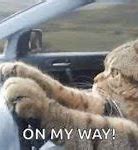 Image result for On My Way Cat Meme