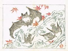 Image result for Art Scuba Bat Prints