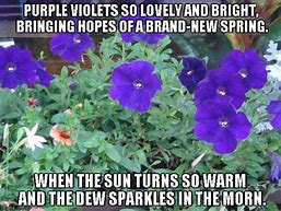 Image result for Purple Flower Meme