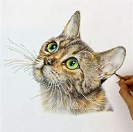 Image result for Pencil Cats 30-Day Challenge