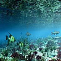 Image result for Underwater Wallpaper iPad