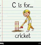 Image result for Cricket Flashcard