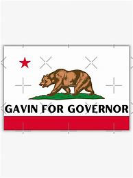 Image result for Gavin Newsom for President Y