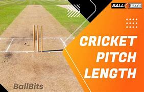 Image result for Cricket Pitch Mat