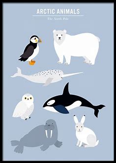 Arctic Animals (30x40)