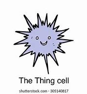 Image result for Sea Urchin Meme