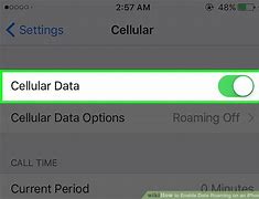 Image result for Enable Data Roaming iPhone