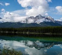 Image result for Famous Nature Photographers