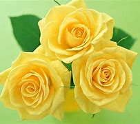 Image result for Light Yellow with Pink Rose