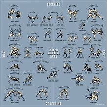 Image result for Recluse Style Martial Arts