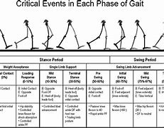 Image result for Gait Dyspraxia