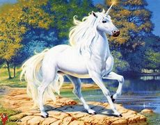 Image result for Unicorn Art