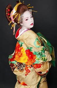 Image result for Geisha Open Kimono