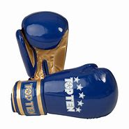 Image result for Top Ten Boxing Gloves