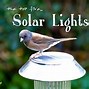 Image result for Solar Lamp