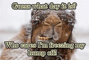 Image result for Winter Hump Day