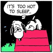 Image result for Too Hot to Sleep Meme