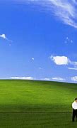Image result for Windows XP Bliss Wallpaper for Mobile