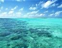Image result for Beach Green screen