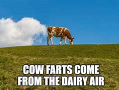 Image result for Cow Fart Meme