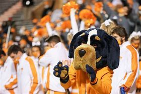 Image result for Tennessee Vols Football Mascot