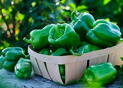 Image result for things that are green