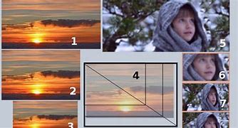 Image result for Portrait Dimensions On Phone