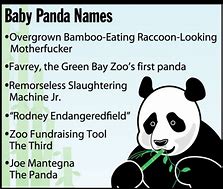 Image result for Panda Names Boy