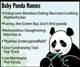 Image result for Cute Panda Names