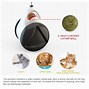 Image result for Smart Cat Toys