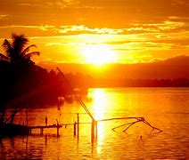 Image result for Nature BG