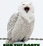 Image result for Bird Meme Clapping