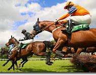 Image result for Horse Racing Photography