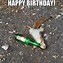 Image result for Beer Bottle Meme