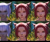 Image result for Miqo'te Face 2
