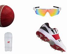 Image result for Cricket Items with Measurement