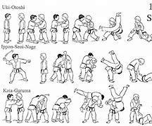Image result for Brazilian Jiu Jitsu Beginner Techniques