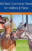 Image result for Cool Horse Names